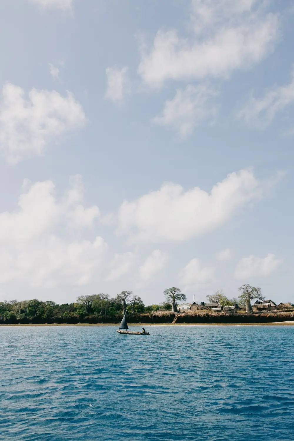 A sailor navigates a small boat past a coastal village lined with baobab trees
